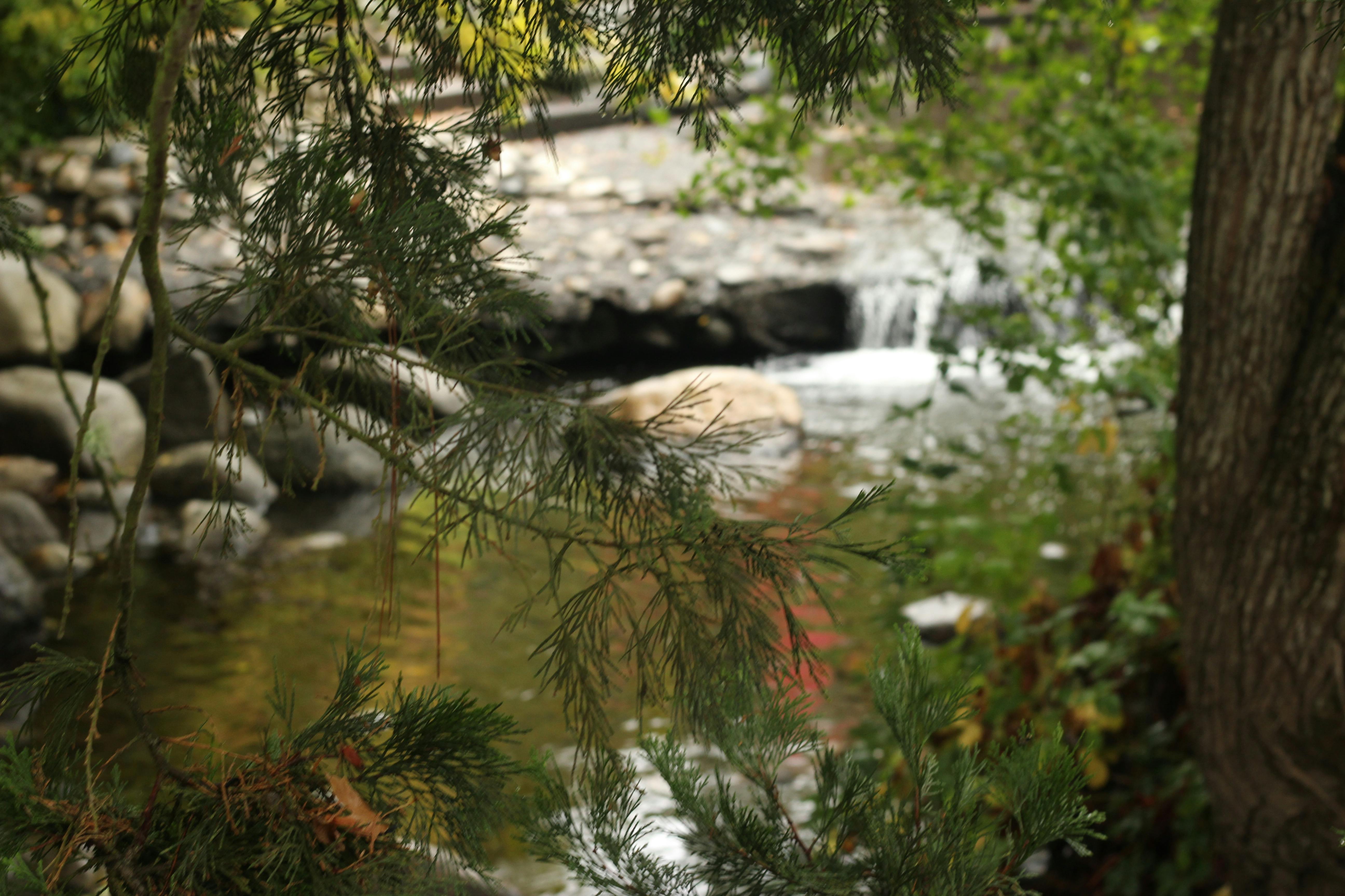 Kostenloses Foto zum Thema: strandhaus