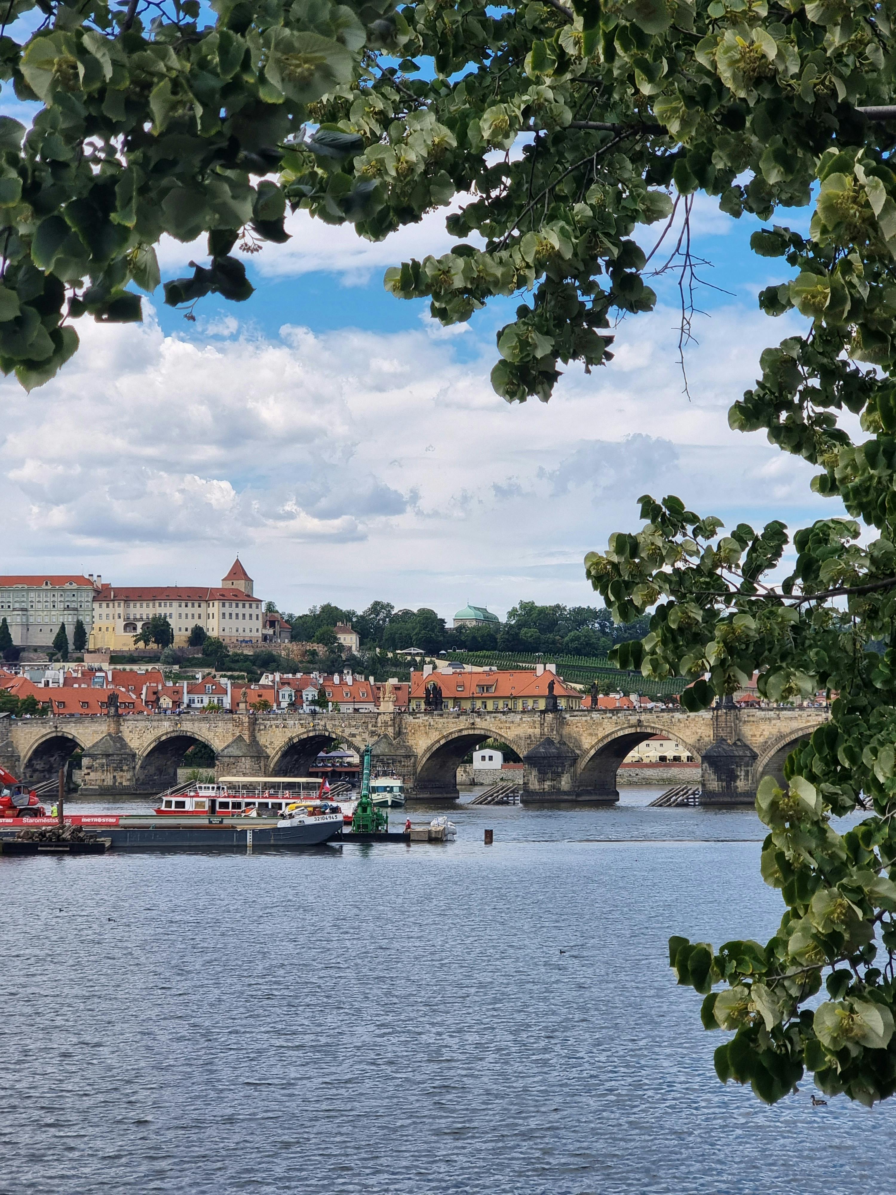 Free Picturesque view of Charles Bridge framed by green leaves, with boats on the Vltava River in Prague. Stock Photo