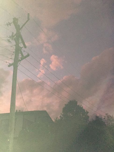 A vibrant dusk sky featuring silhouetted electricity poles and trees, captured in a vertical shot.