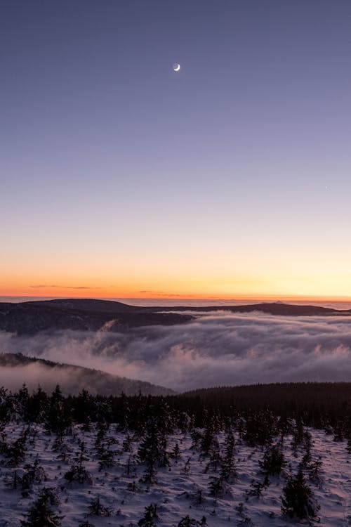 Clouds and Snow in Forest at Sunset