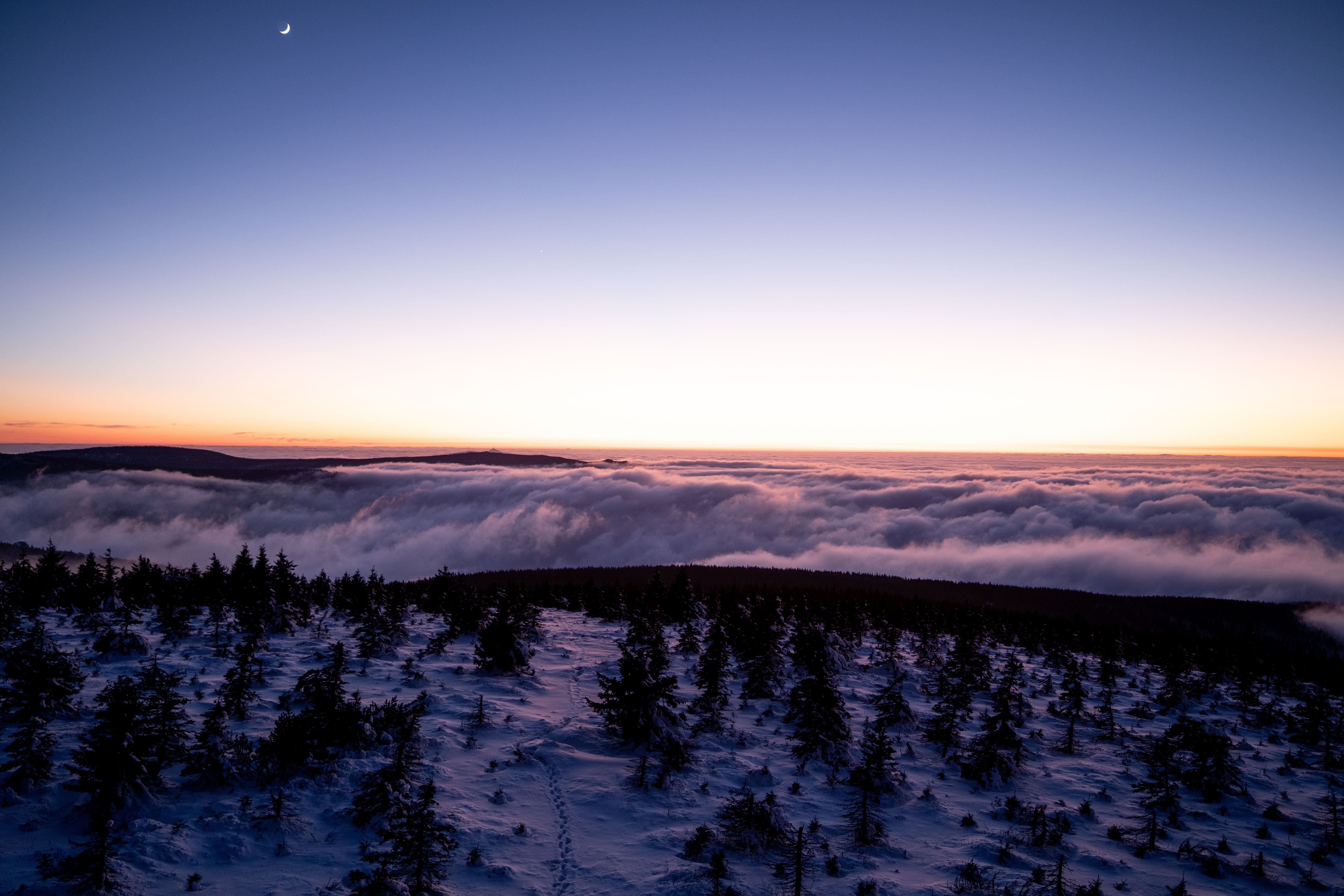 Forest with Clouds at Sunset · Free Stock Photo