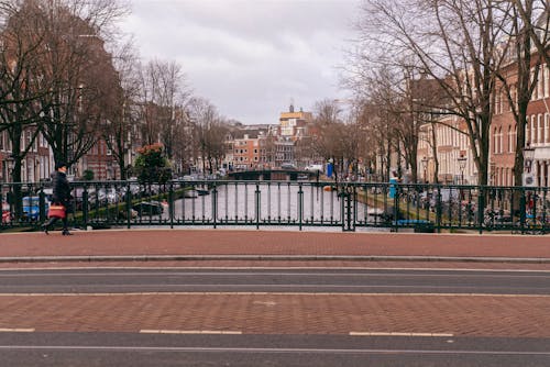 Бесплатное стоковое фото с Амстердам, безлистные деревья, голые деревья