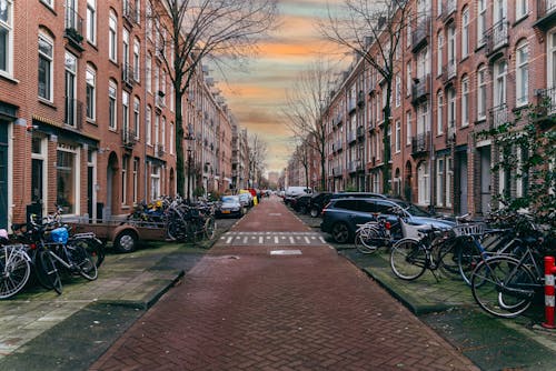 Fotos de stock gratuitas de amsterdam, aparcado, árboles desnudos
