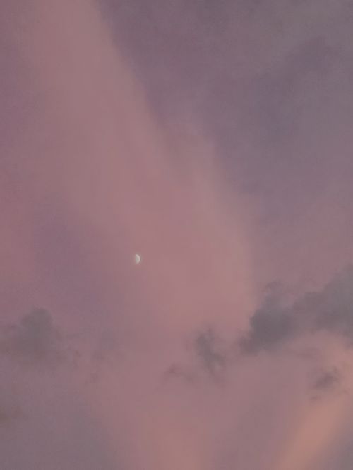 Free Capture of a tranquil pink sky with a crescent moon during twilight in Alexandria, Egypt. Stock Photo