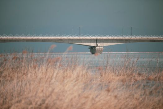 A serene view of a bridge in Yangyang, South Korea, with dry rushes in the foreground.