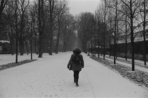 Person with Backpack Walking in Snow