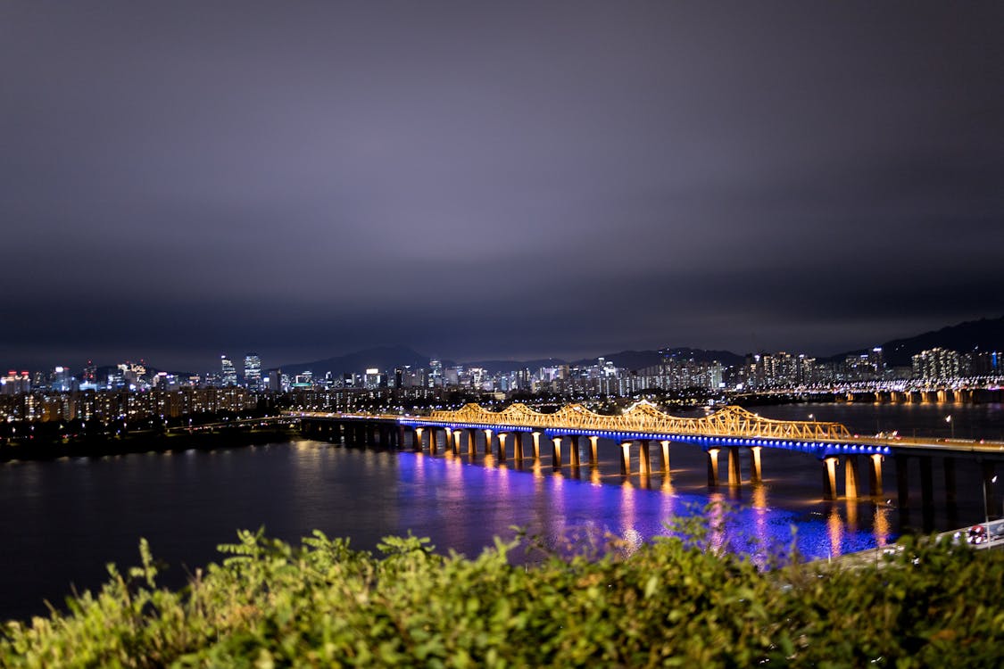city night, seoul, seoul night의 무료 스톡 사진