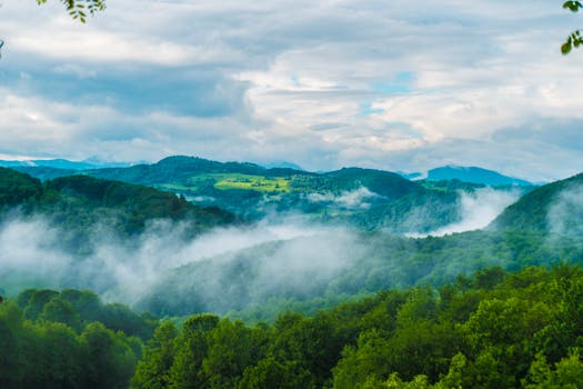 Cluj Napoca, Romania photo 11