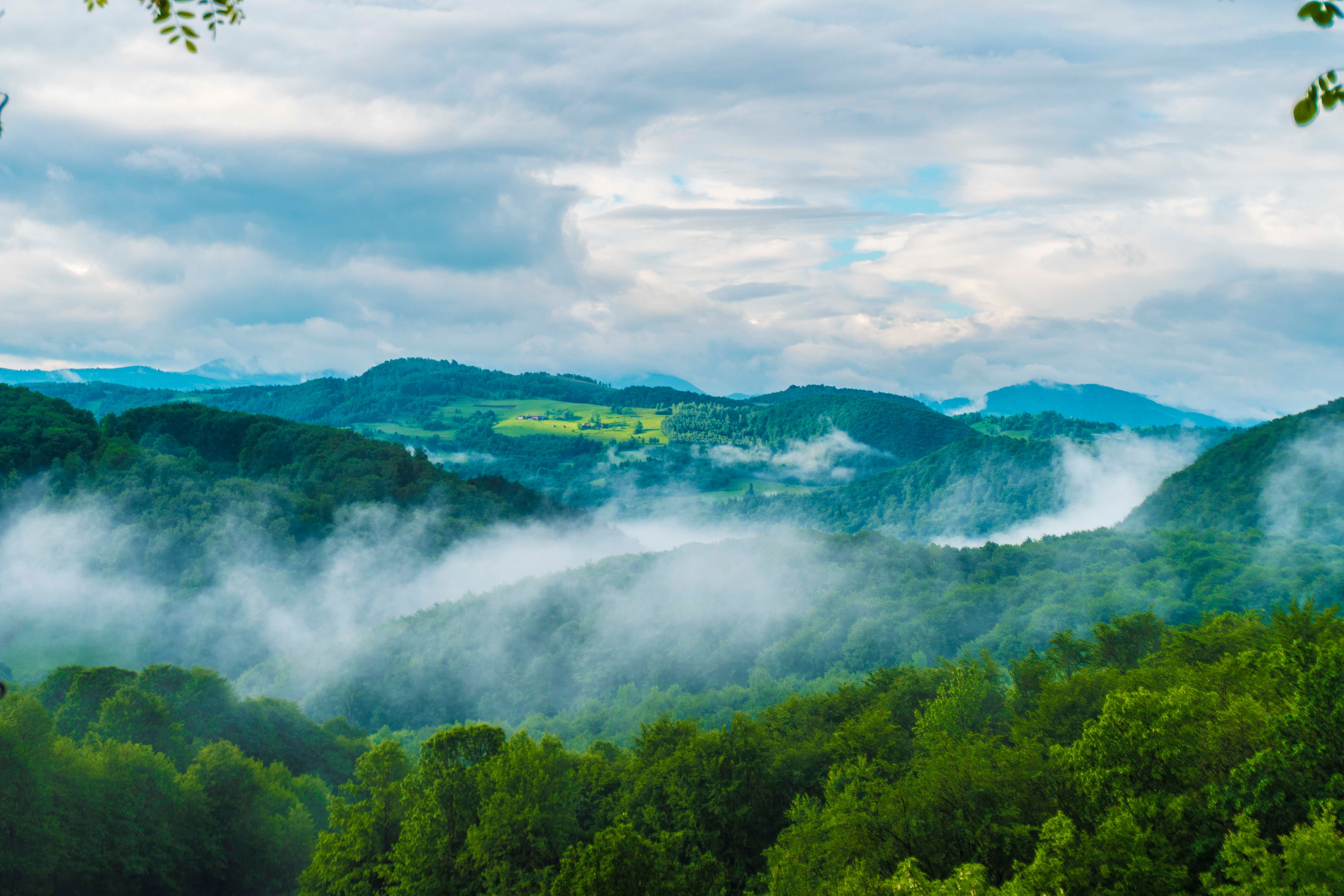A view of the mountains and trees with fog · Free Stock Photo