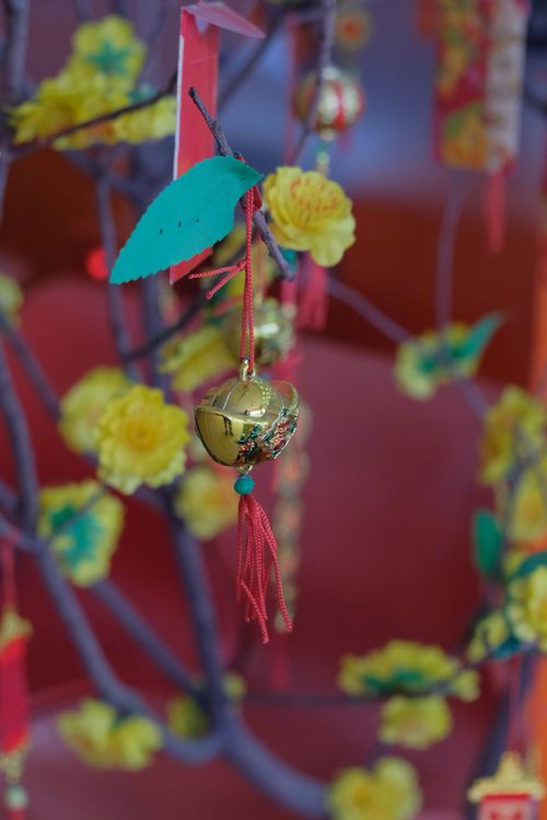 Free Close-up of colorful decorations with blossoms for Lunar New Year celebrations. Stock Photo