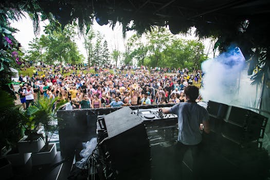 DJ performing with a lively crowd at an outdoor music festival.