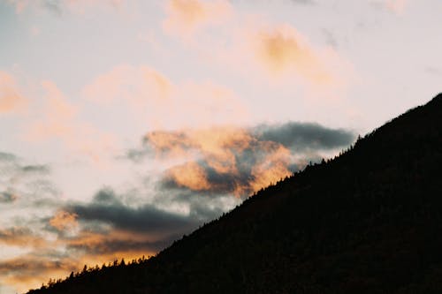 Darmowe zdjęcie z galerii z chmury, drzewa, las