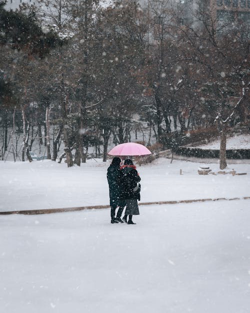 Darmowe zdjęcie z galerii z chodzenie, kobiety, korea