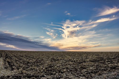 Free A stunning sunset over a vast plowed field in rural Minnesota, showcasing vibrant colors. Stock Photo