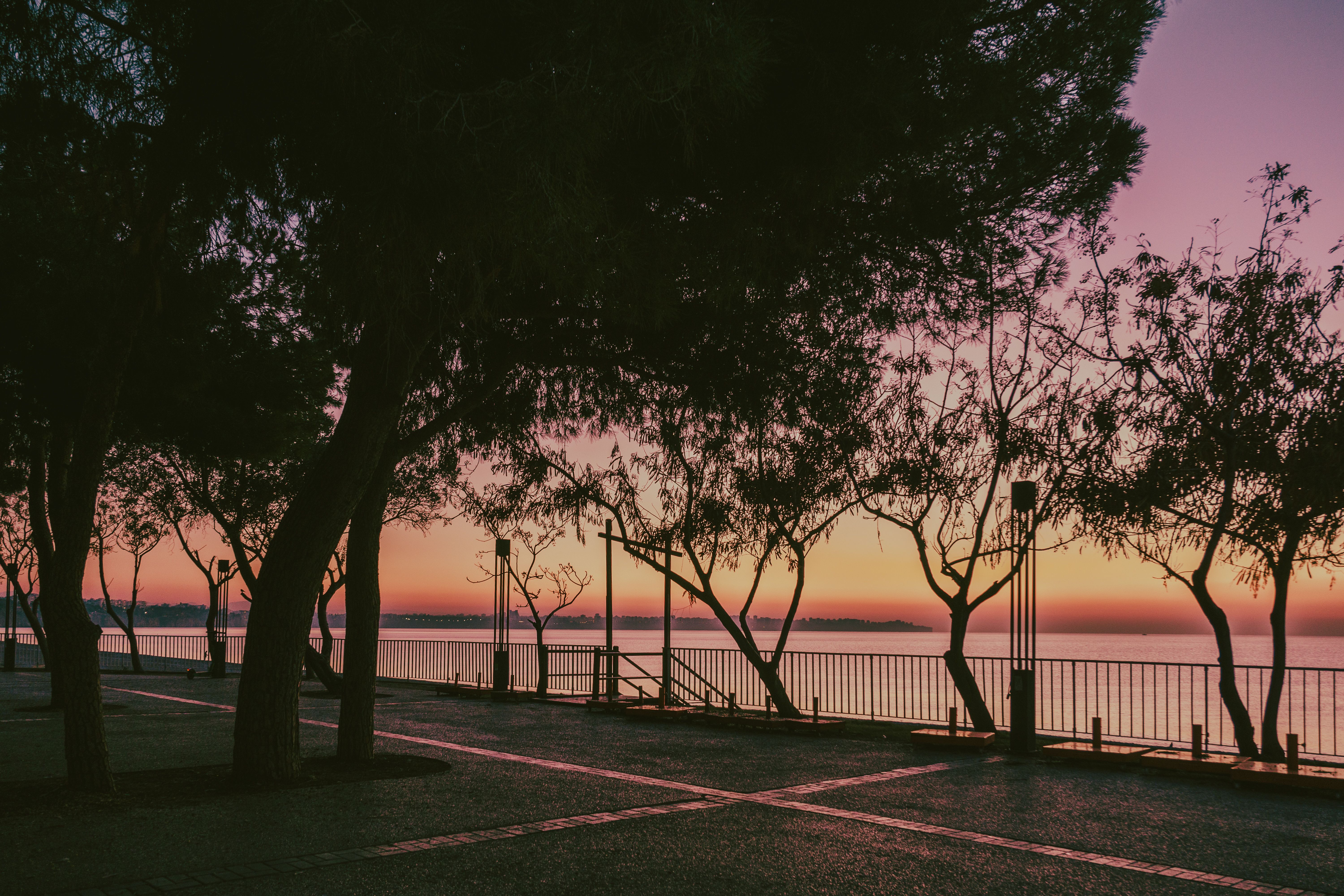Lapad Peninsula waterfront promenade with trees and restaurants at sunset.