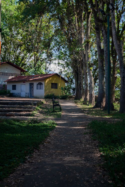 View of a Walkway in a Park with Trees and Grass on the Side and Buildings in the Front 