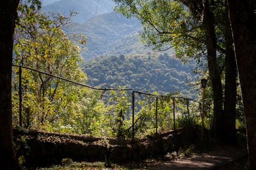 View of a Walkway and Mountains Covered in Green Trees