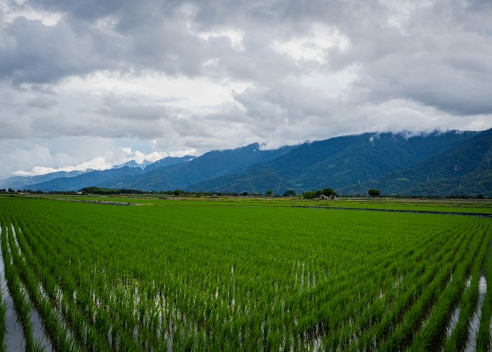 Terrazas de arroz en Sapa Vietnam al atardecer
