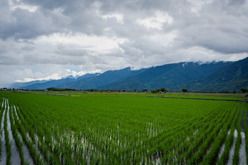 Free Landscape of Mountains and a Cropland in the Valley  Stock Photo