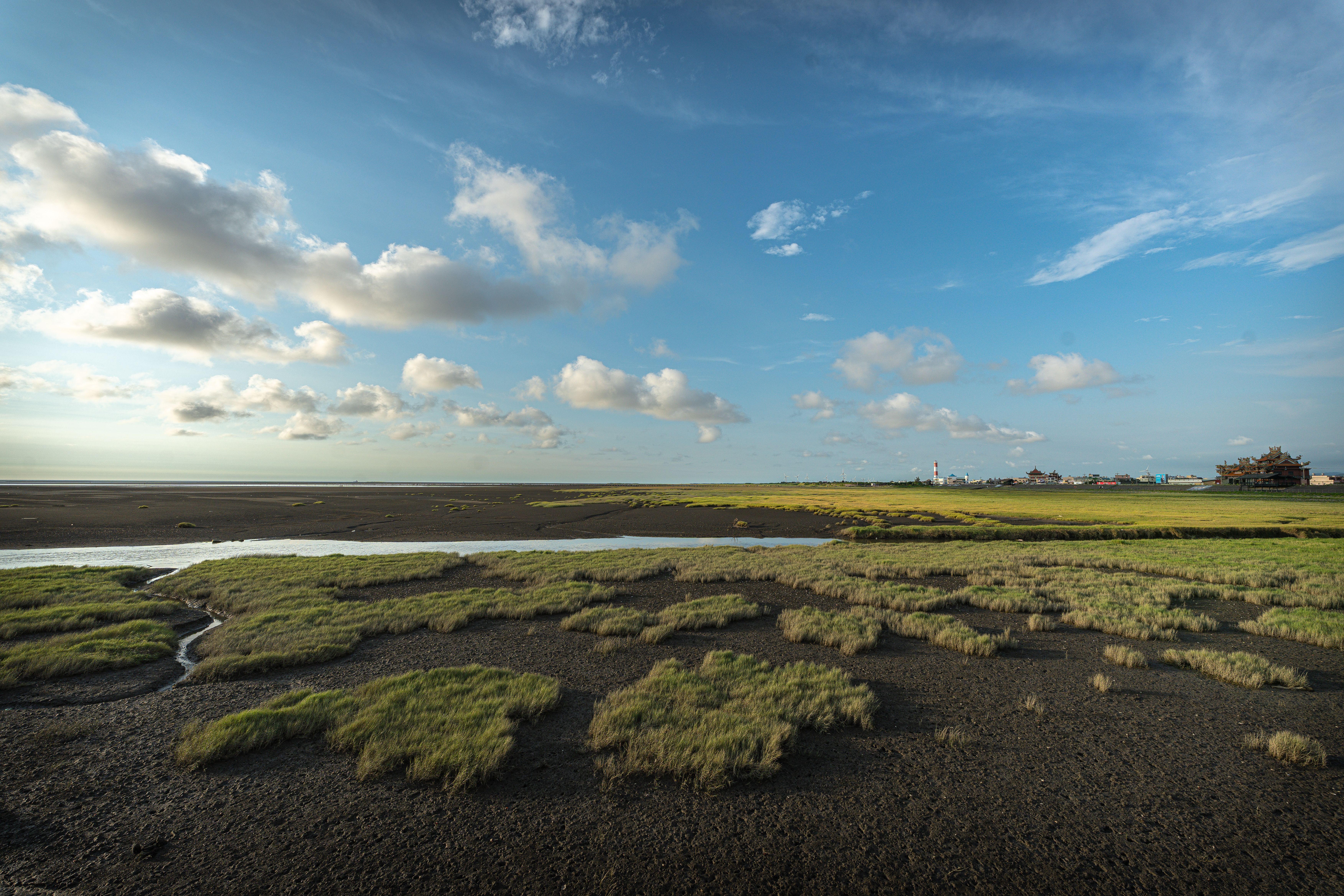 Hortonia Marsh Shore view 2