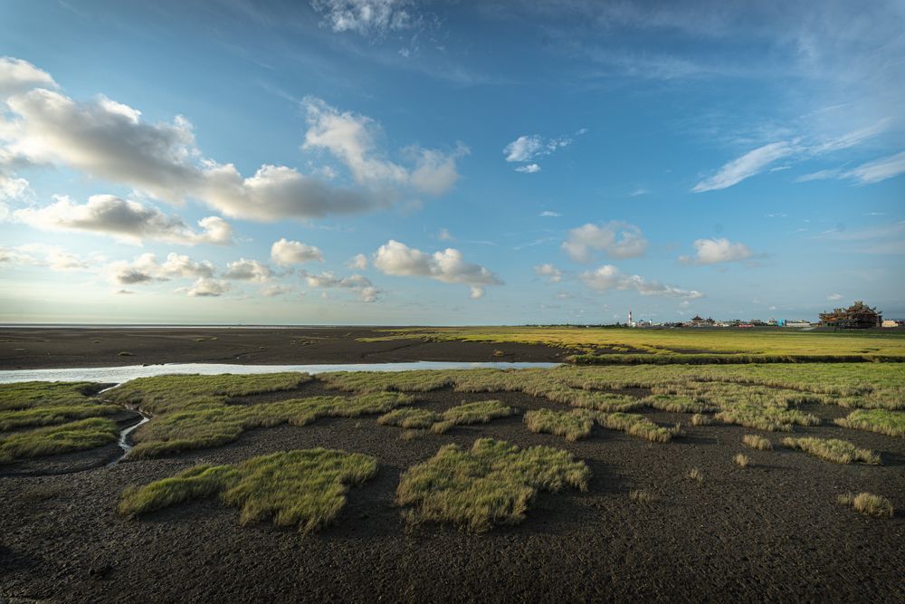 Coastal & saline