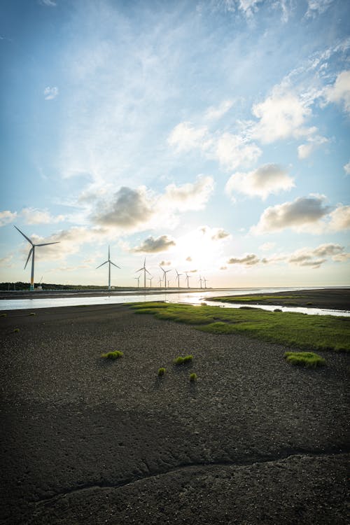 Landscape with Wind Turbine Field