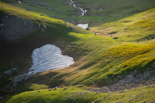 Gratis arkivbilde med ås, fjell, gress