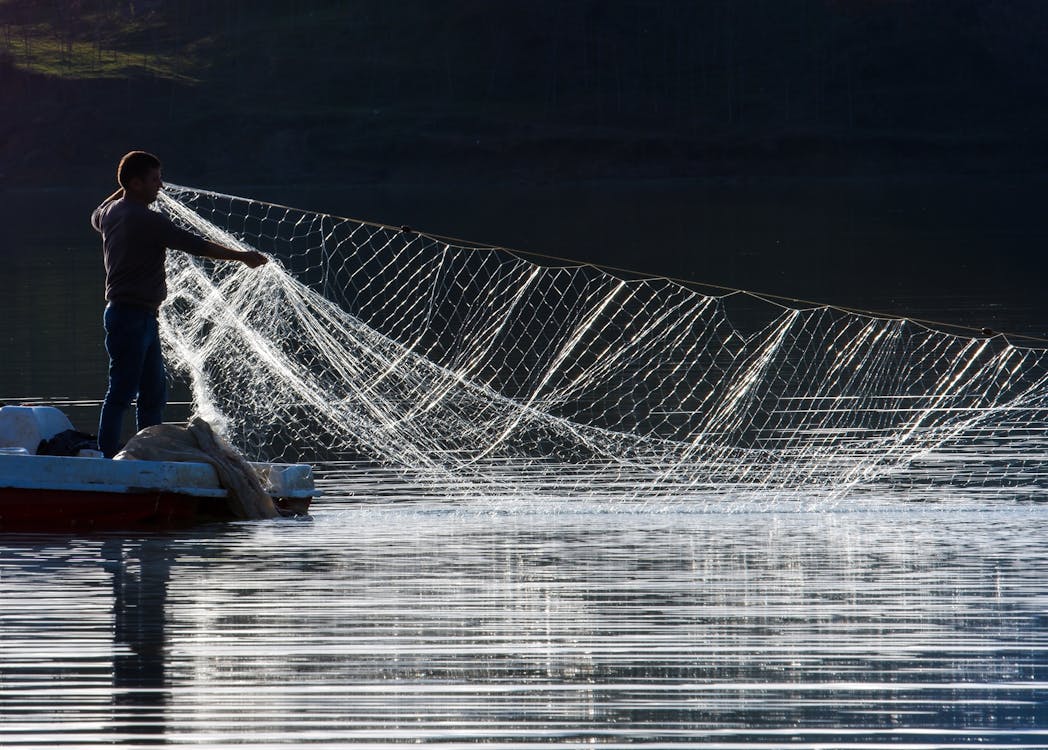 Photo of a Man Fishing with a Fishing Net · Free Stock Photo