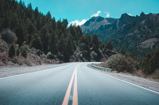 Winding road through lush forests and mountains in Bariloche, Argentina.