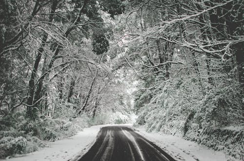 雪道