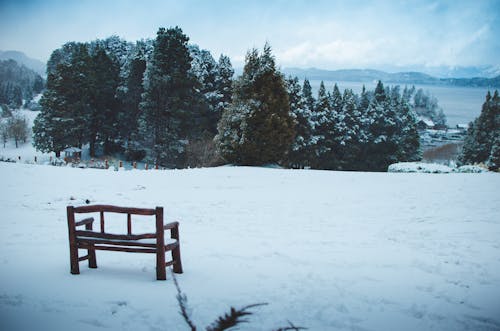 Banco De Madera En Campo De Nieve Bajo Un Cielo Azul