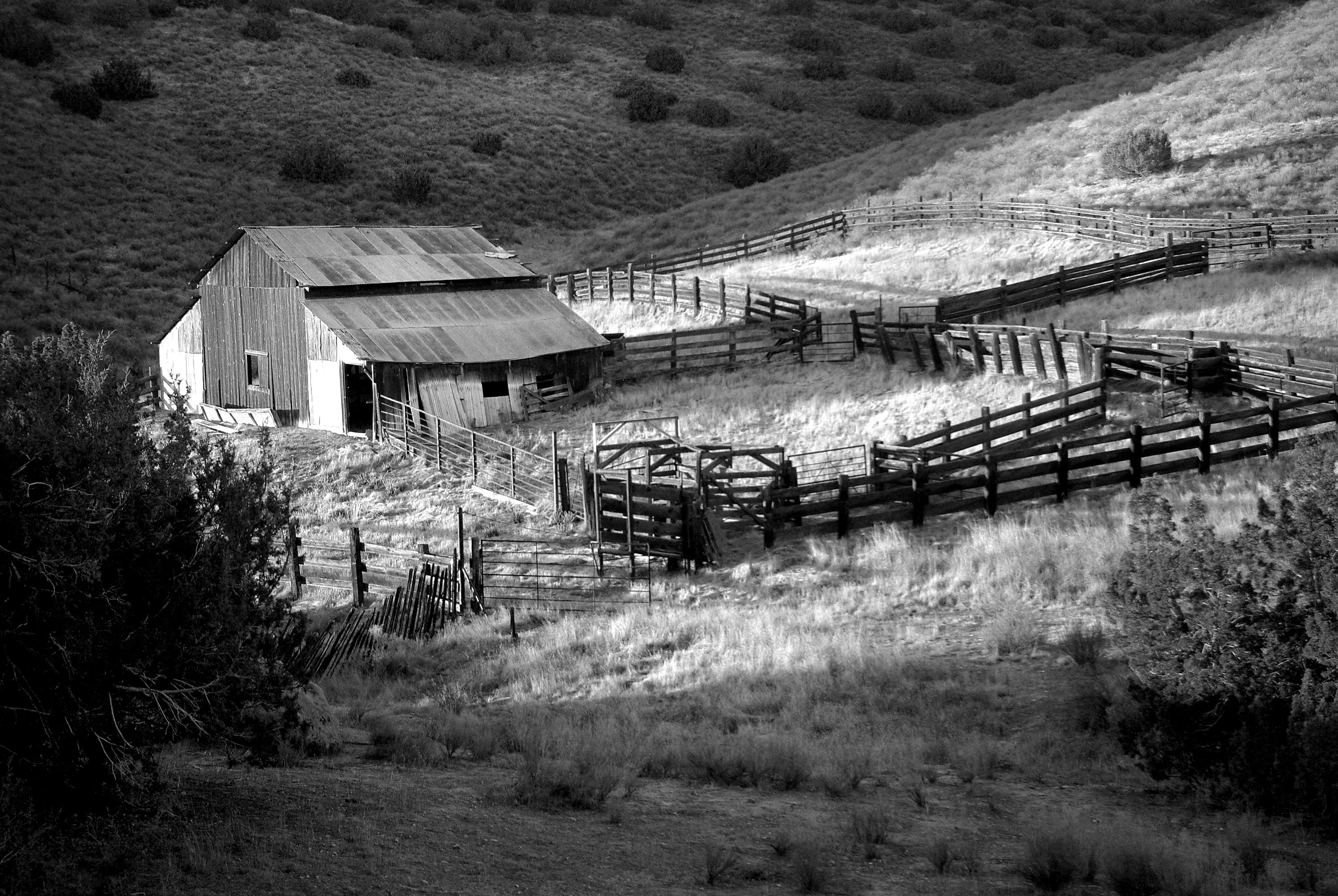Foto de stock gratuita sobre blanco y negro, casa de campo, cerca, césped, granero, granja, paisaje Foto de stock gratuita sobre blanco y negro, casa de campo, cerca, césped, granero, granja, paisaje