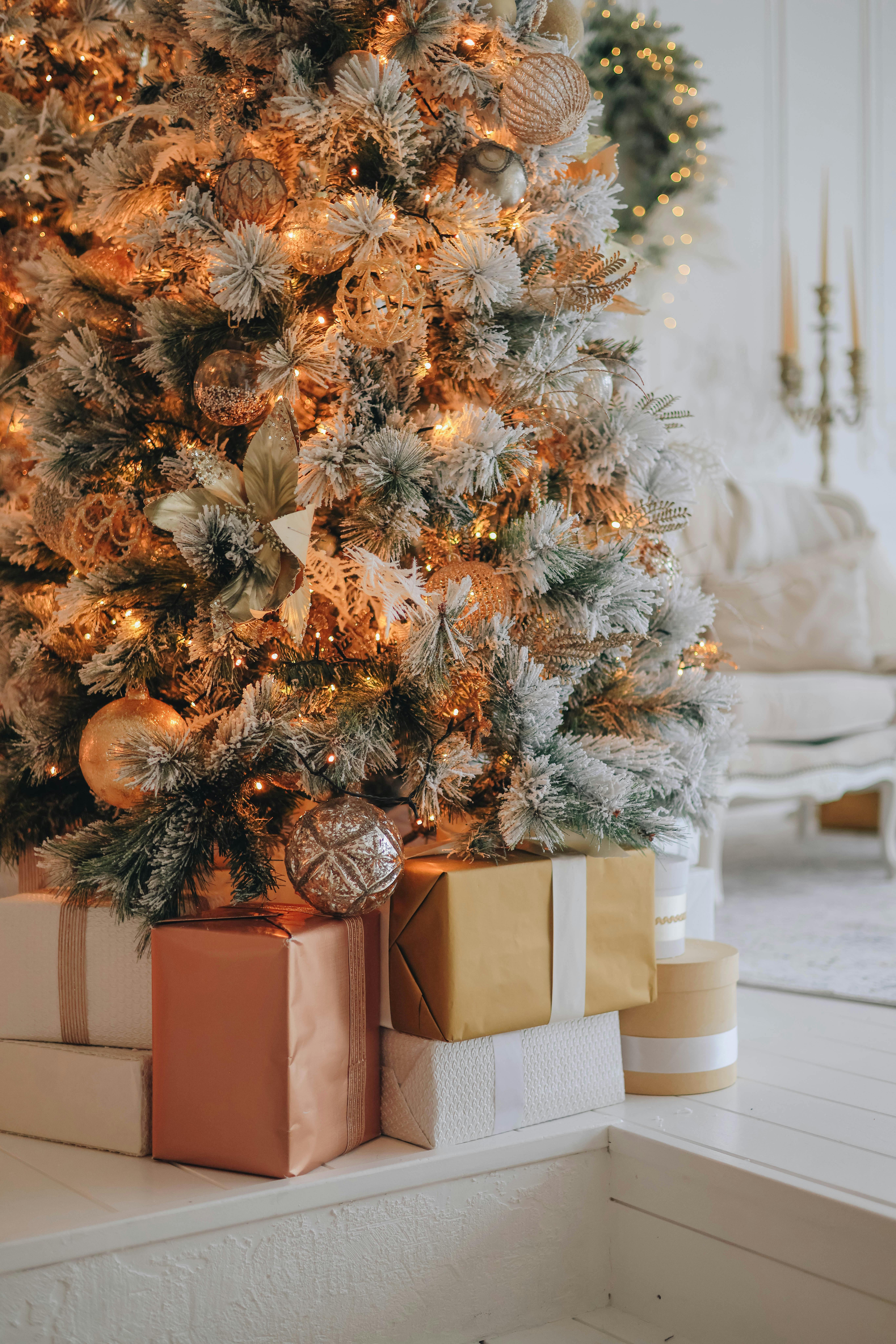Boxes under Christmas Tree · Free Stock Photo