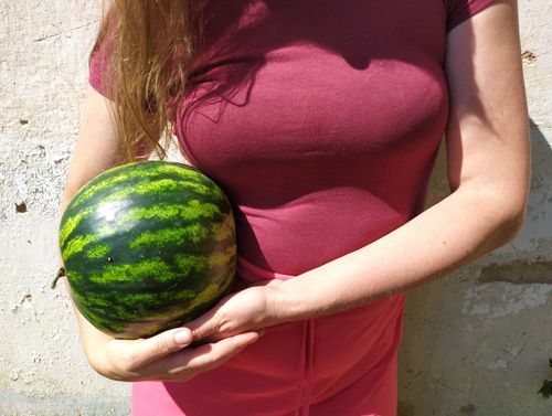 Free A woman holding a fresh watermelon against a textured wall background in bright sunlight. Stock Photo
