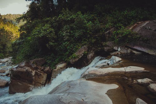 View of a Waterfall and Large Rocks in the Creek in a Dense Forest