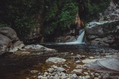 Free Discover a tranquil waterfall amidst lush greenery and rocky formations in a dense forest. Stock Photo