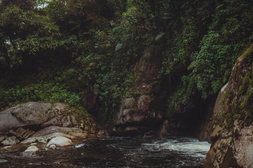 Free Tranquil view of a waterfall surrounded by dense forest and rocks. Stock Photo