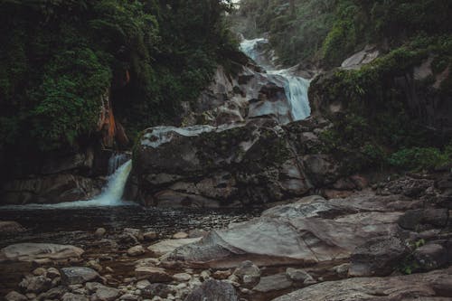 Бесплатное стоковое фото с быстрый, водопад, деревья