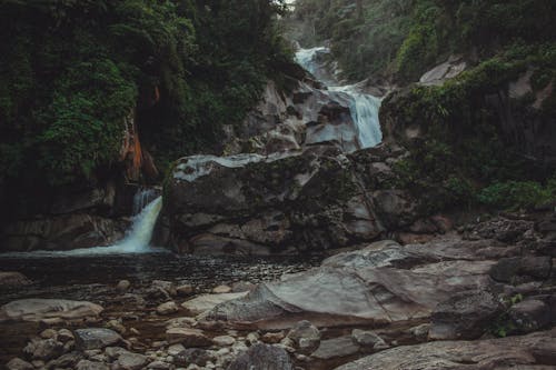 View of a Waterfall and Large Rocks in the Creek in a Dense Forest