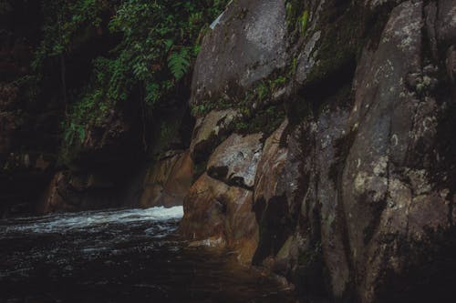 View of a Rocky Wall with Tropical Trees and a Body of Water 