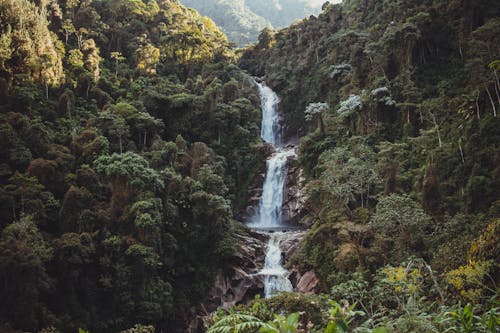 View of a Waterfall in High Mountains Covered with Green Trees 