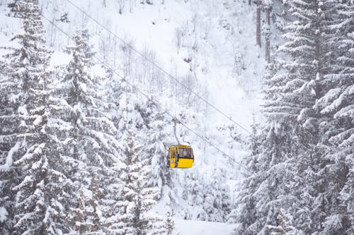 View of a Yellow Ski Lift on a Snowy Slope with Coniferous Trees