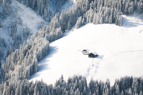 Aerial View of Houses Surrounded by Trees in Mountains in Winter 