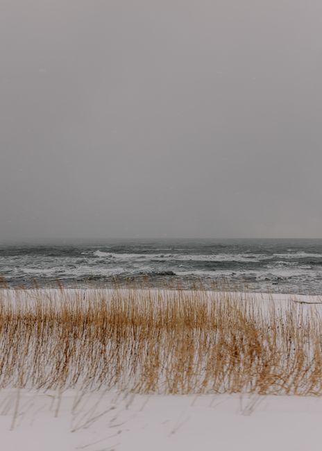Serene winter scene of Hokkaido's coastline featuring snow, waves, and overcast skies.