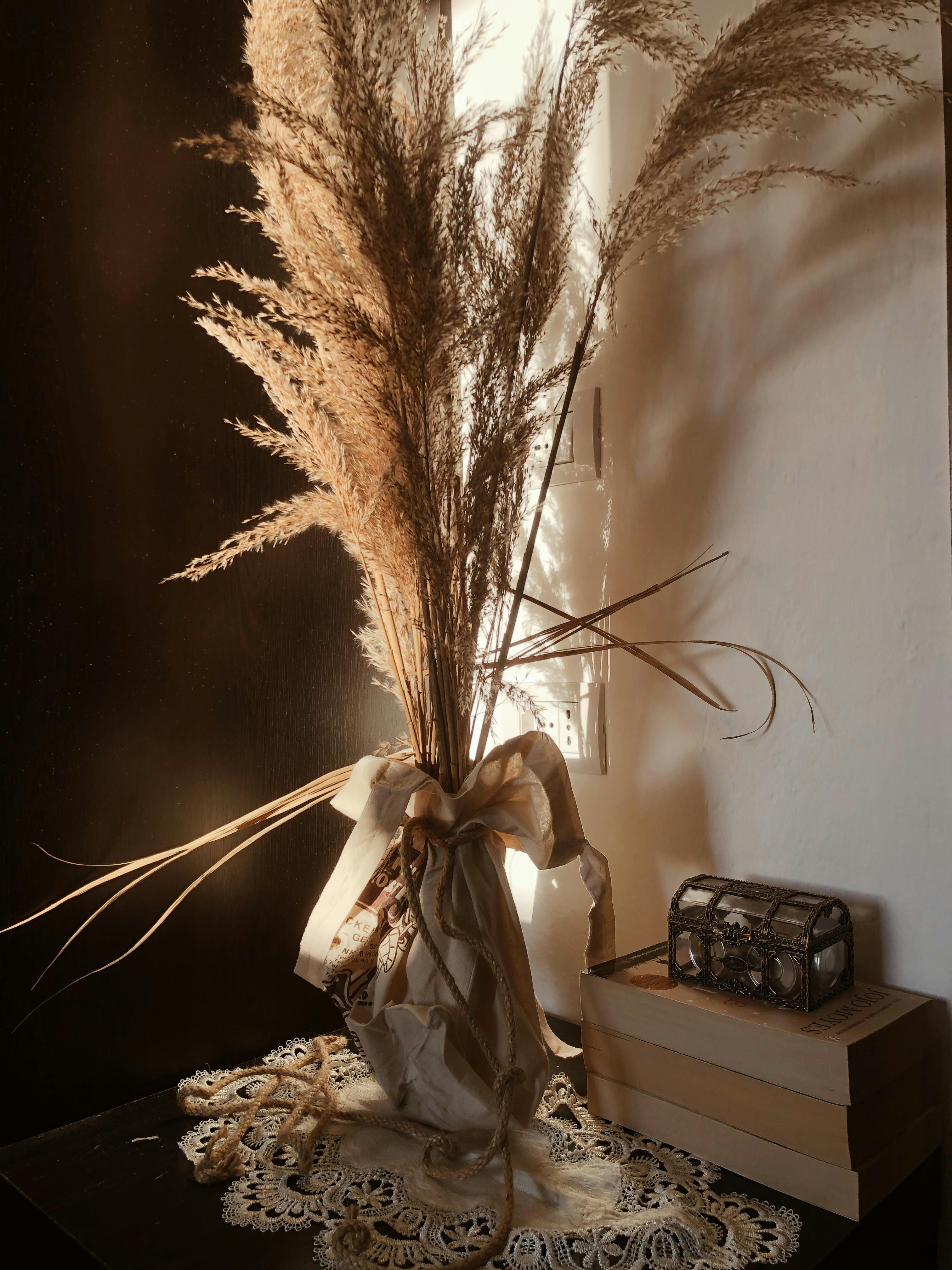 Aesthetic display of ornamental grass in a vase on a dresser, enhanced by soft natural light.