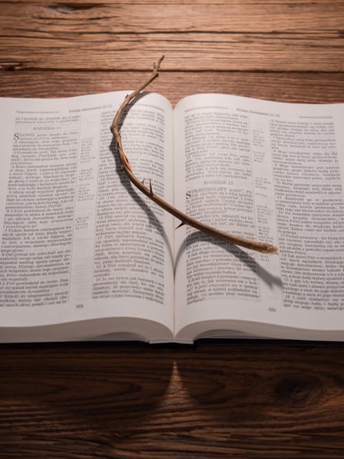 Ingyenes stockfotó az asztalon, Biblia, bölcsesség témában Stockfotó