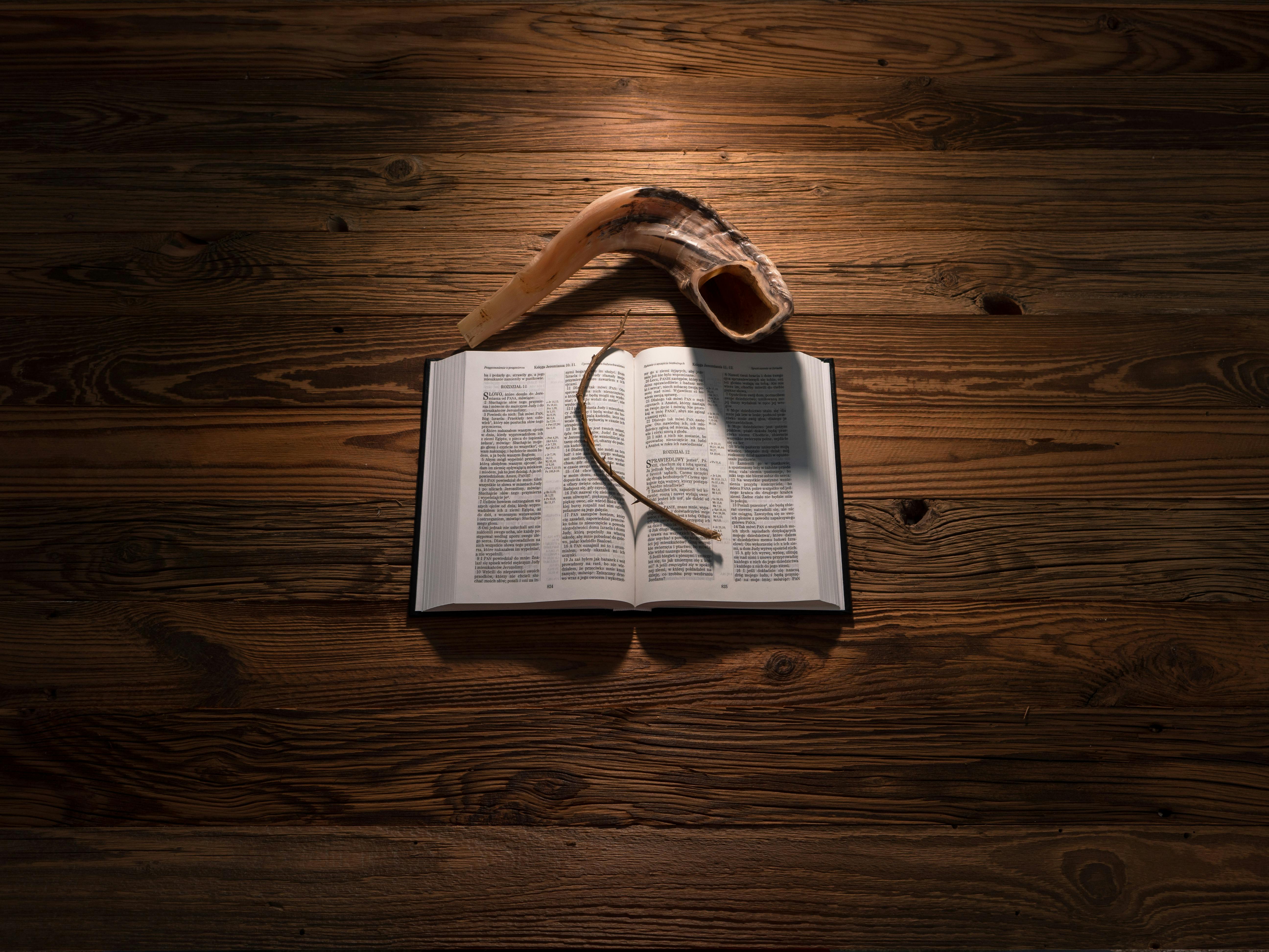 Gratuit Biblia Szofar Cierń Photos