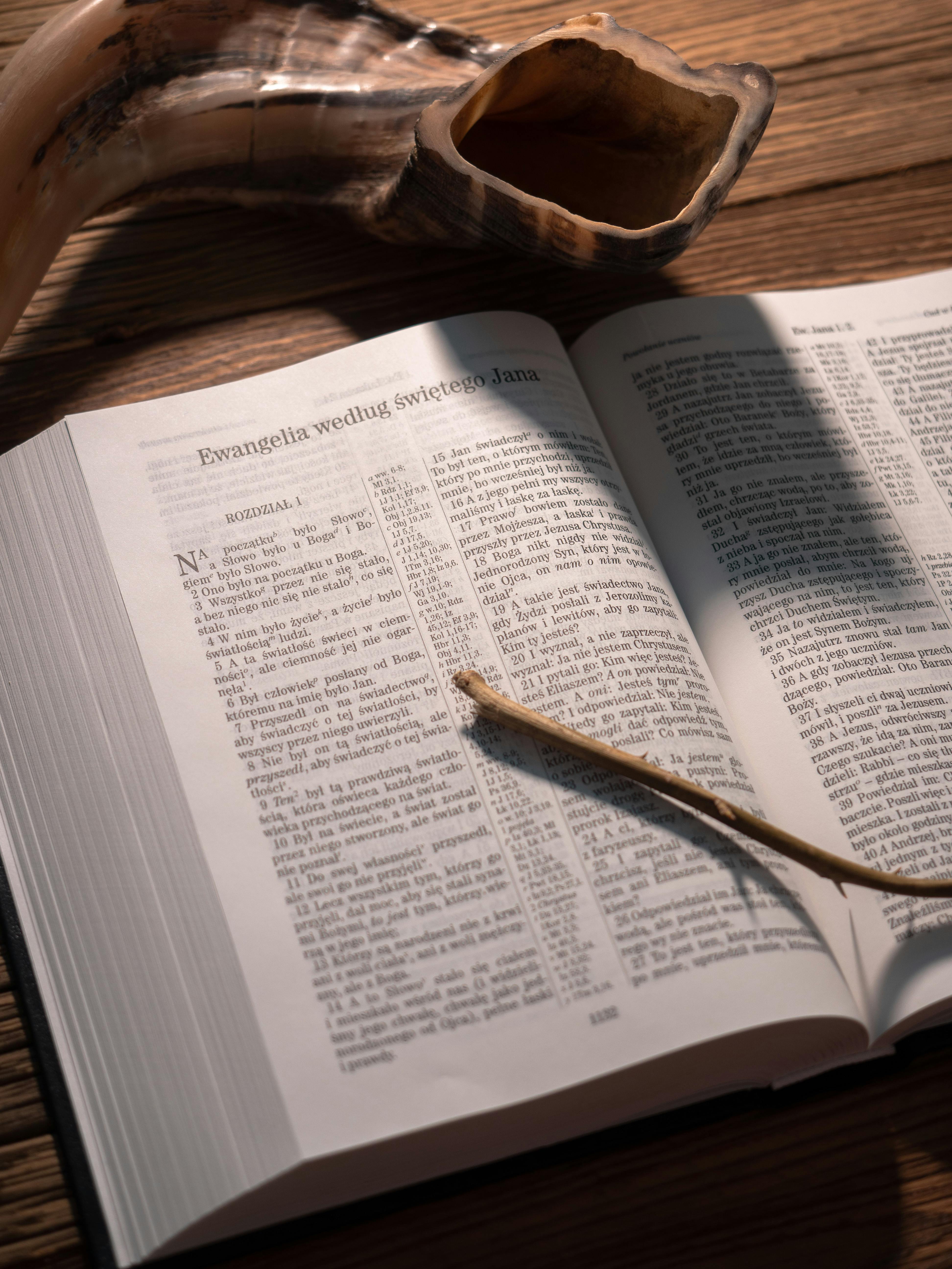 grátis Foto profissional grátis de admiração, antigo testamento, artefato religioso Foto profissional