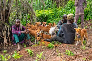 A People in the Forest with Dogs 