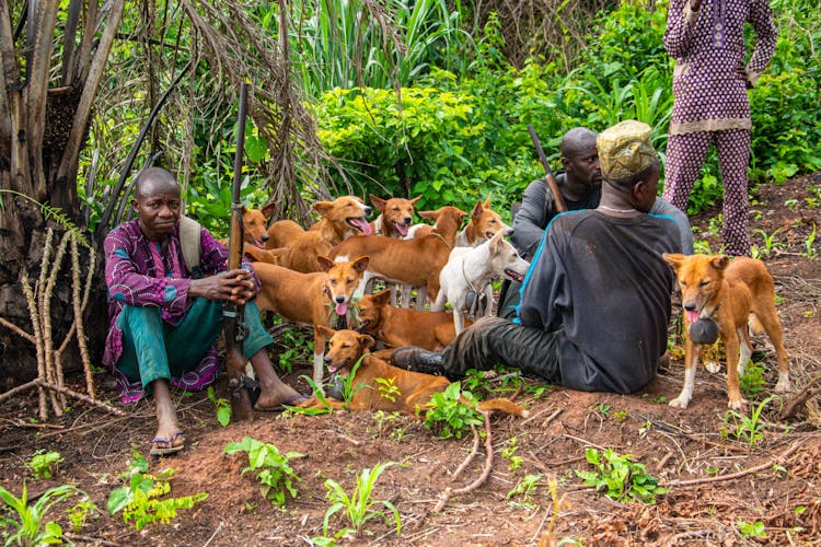 A People In The Forest With Dogs 